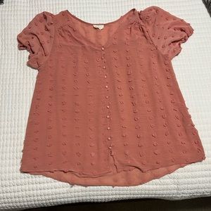 Sheer Pom boutique blouse with capped sleeves